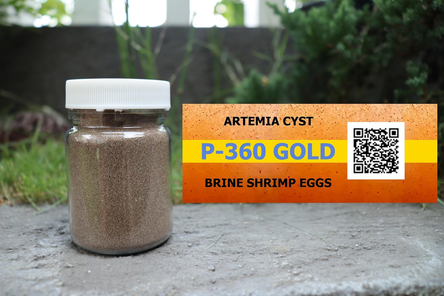 P Gold Baby Brine Shrimp Eggs Hatchable Artemia Cyst Grams