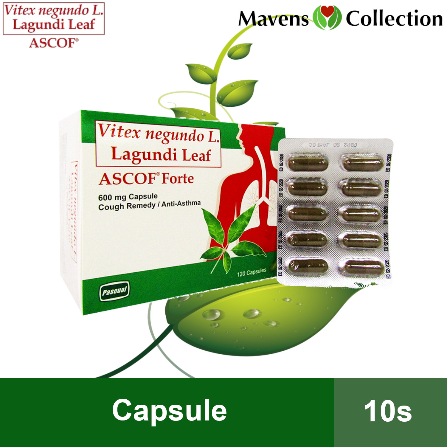 Ascof Lagundi Forte 600mg Capsule 10s By Mavens Collection Lazada PH