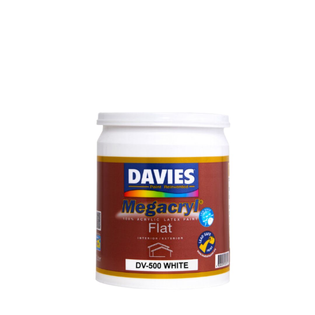 Davies Megacryl Latex Paint Flat White Lazada Ph