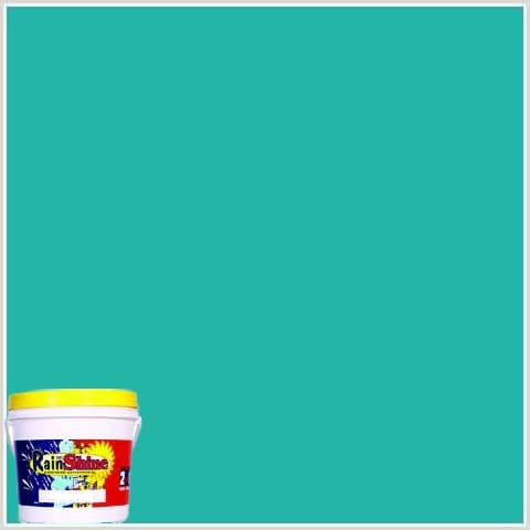 Rain Or Shine Elastomeric House Latex Waterproofing Paint Aquamarine 16