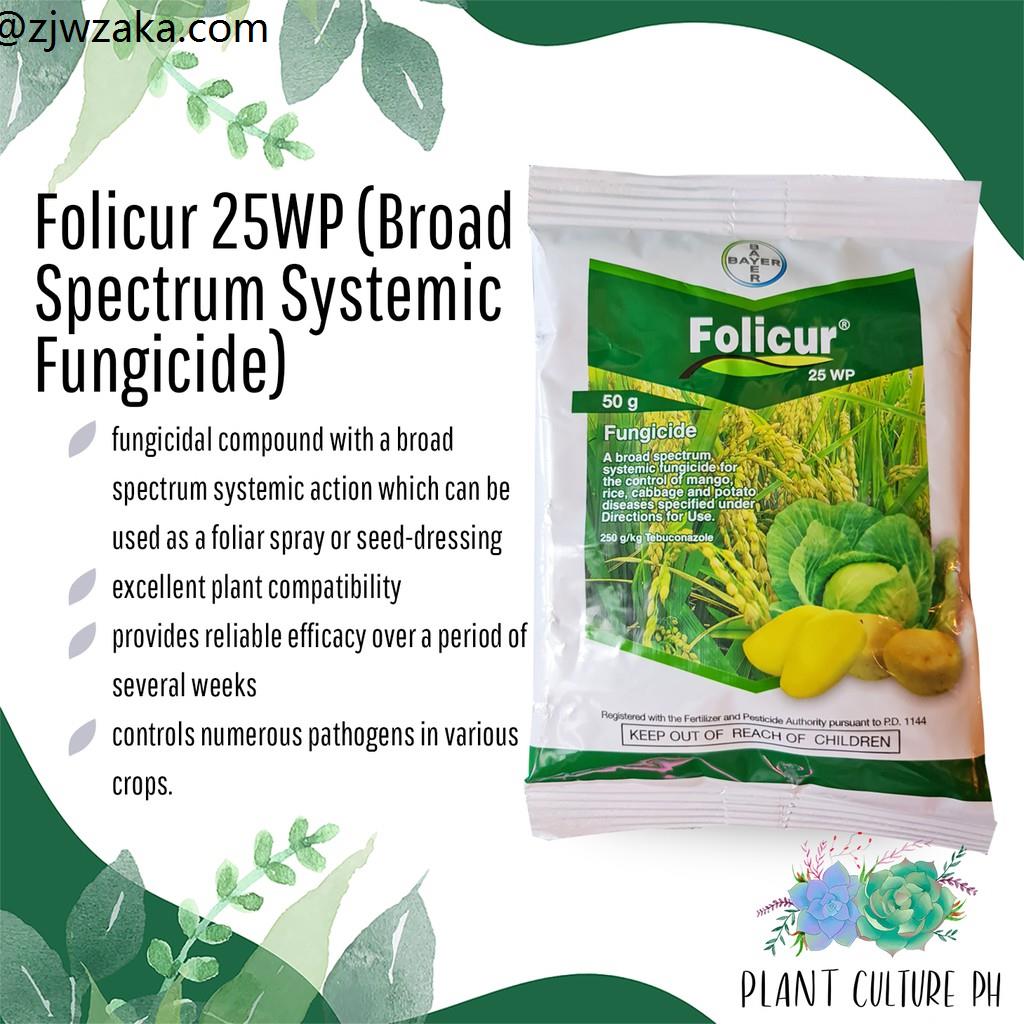 Folicur 25WP Broad Spectrum Systemic Fungicide 50 Grams Bayer Lazada PH