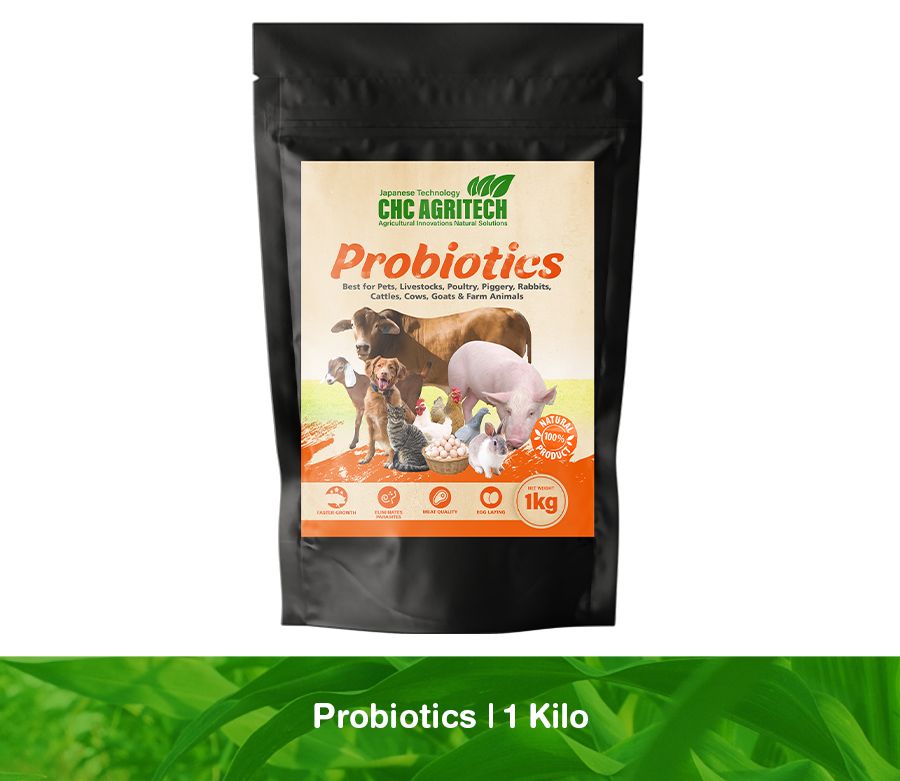 Probiotics Kg Lazada Ph