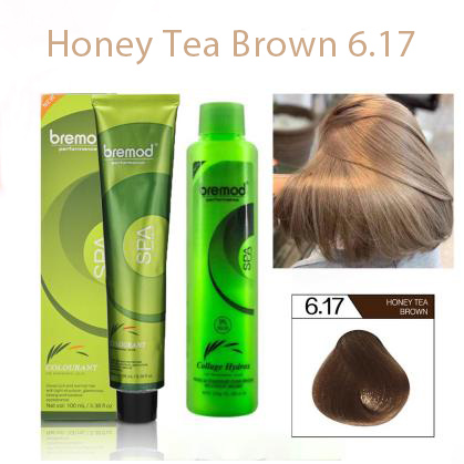 Bremod Honey Tea Brown BUNDLE 6 17 HAIR COLORANT HAIR DYE WITH