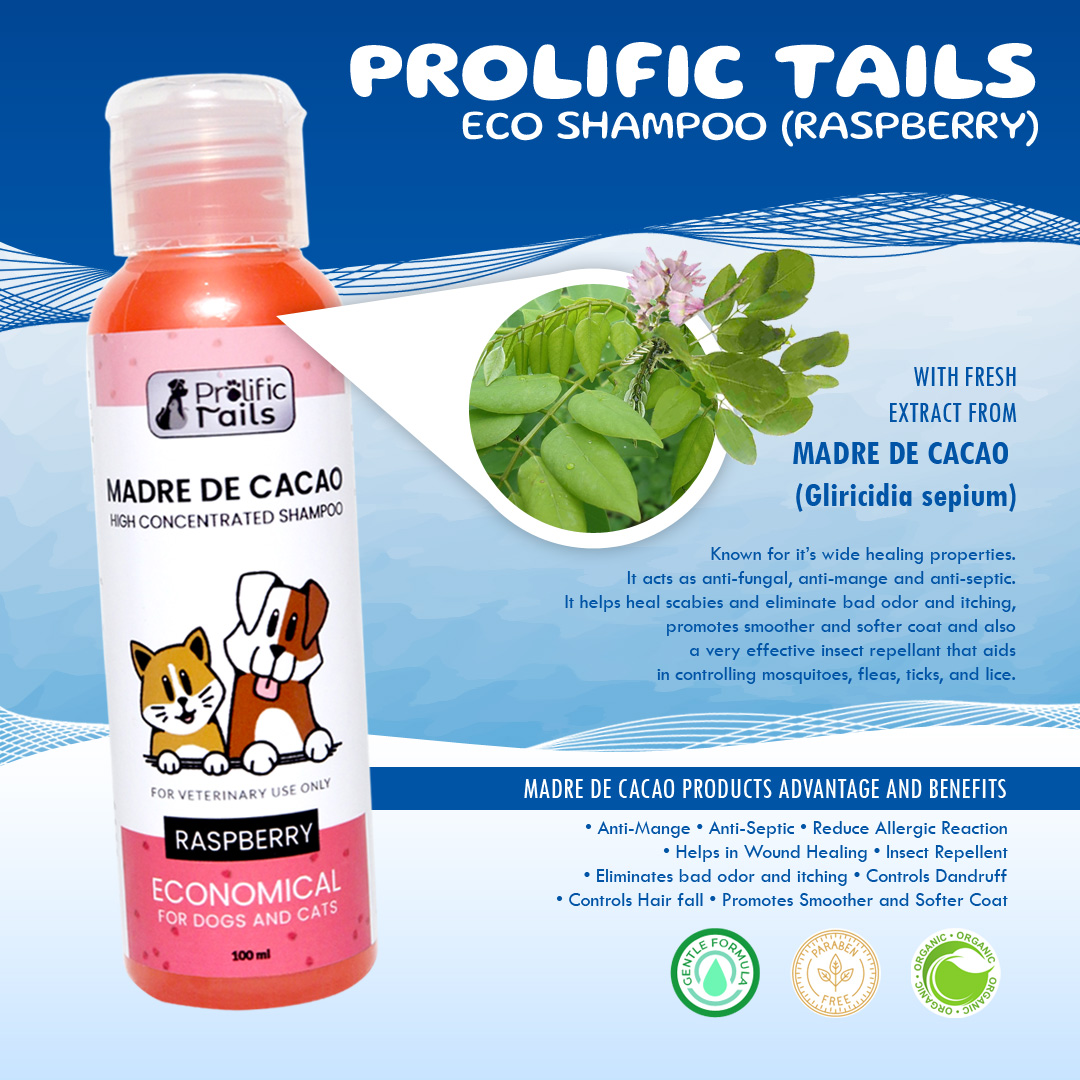 Tbs Prolific Tails Ml Madre De Cacao Shampoo Raspberry Lazada Ph