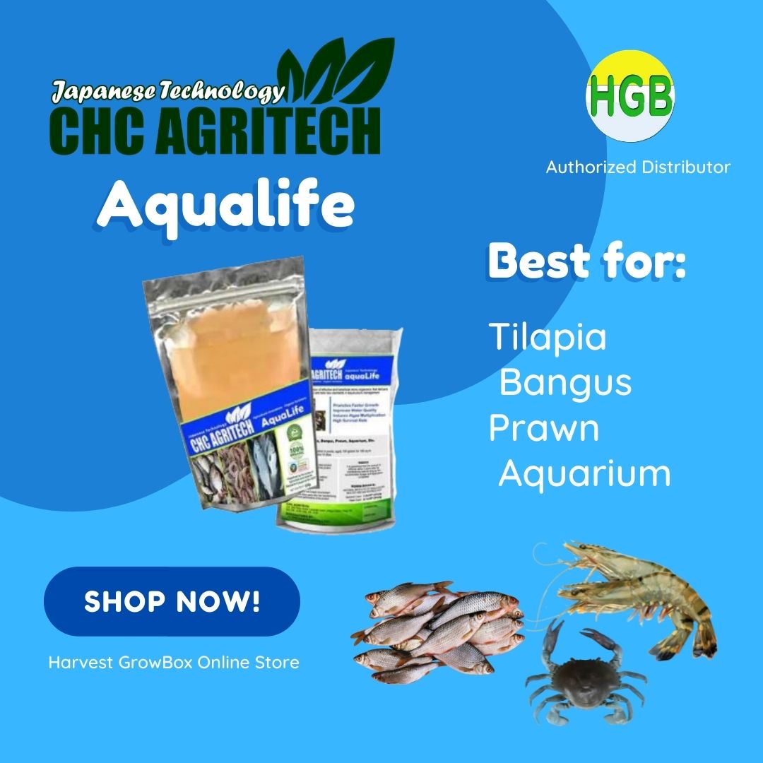 Aqualife Kg Organic Best For Tilapia Bangus Prawn Aquarium