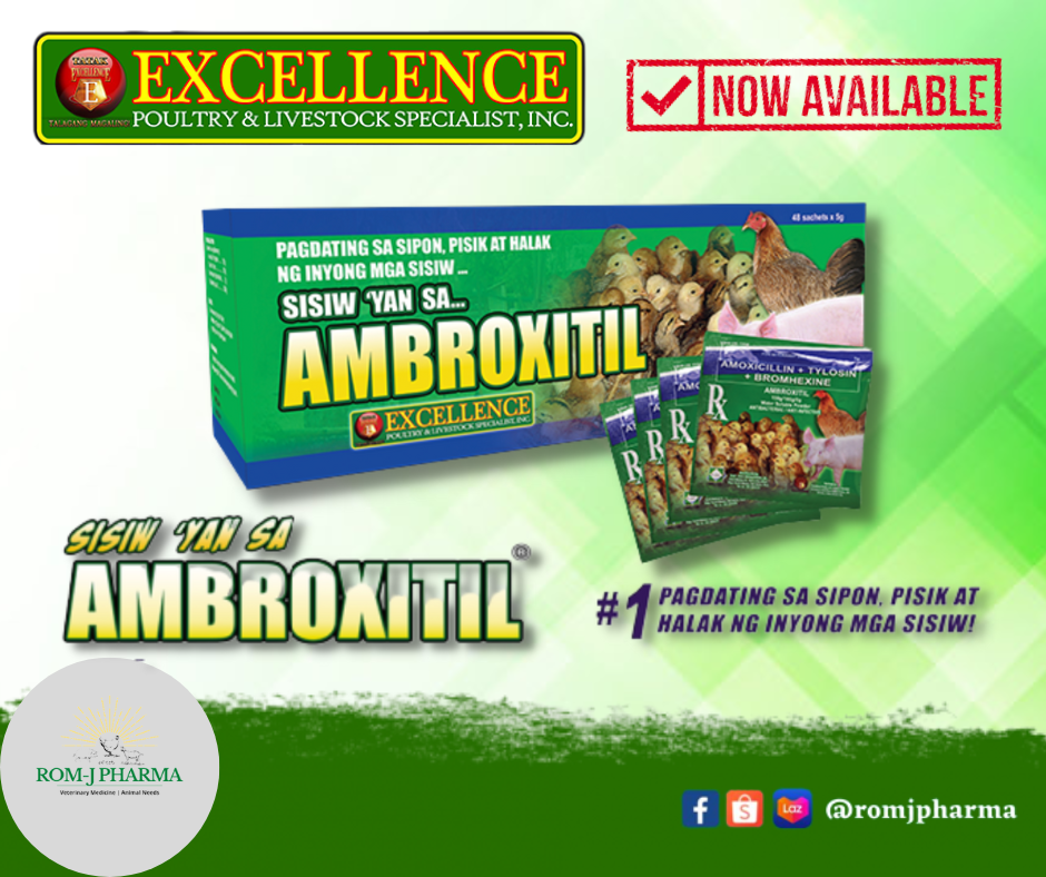 Excellence Ambroxitil G X Sachets Rom J Pharma Lazada Ph