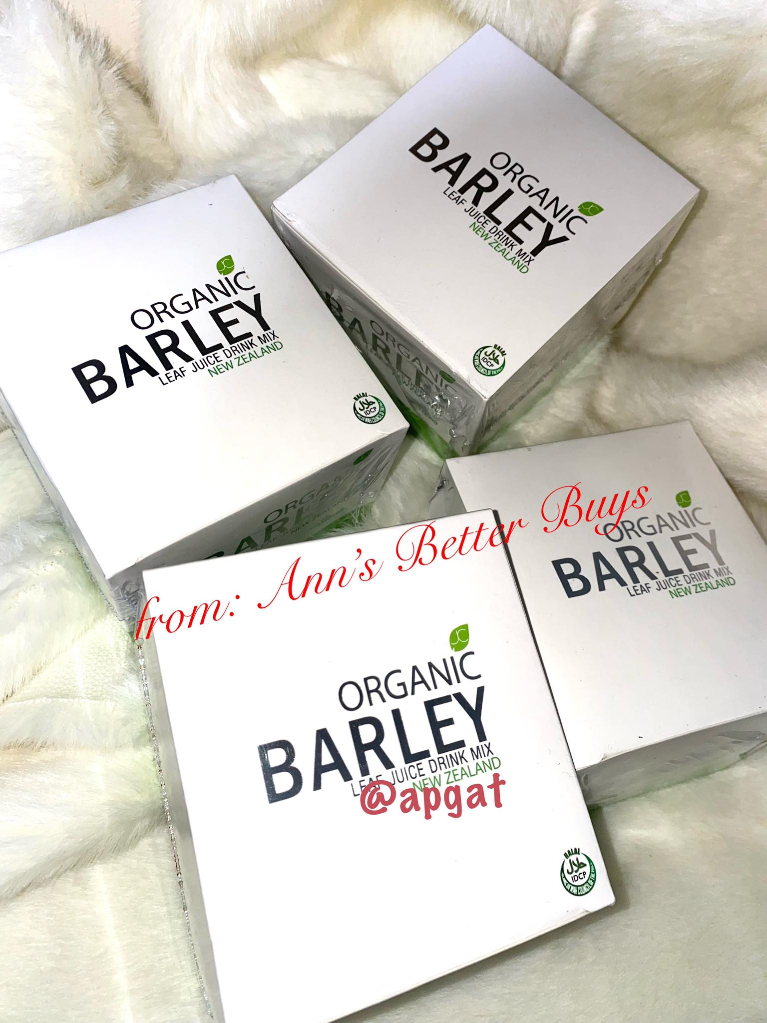 Organic Barley Leaf Juice Drink Mix With Stevia 10 Sachets Per Box