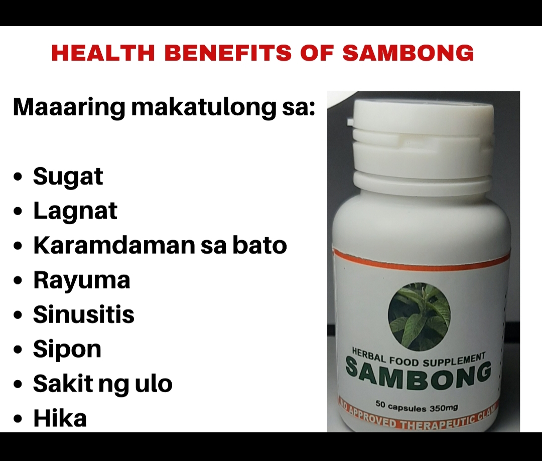 Sambong Herbal 50Capsules Lazada PH