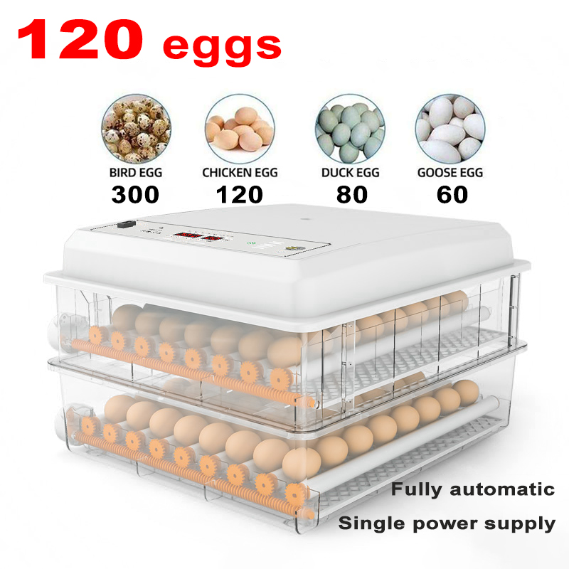 V Egg Incubator Digital Automatic Intelligent