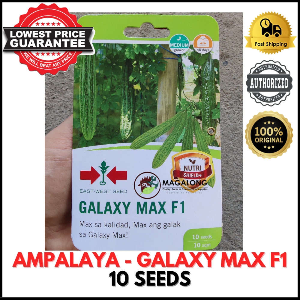 EAST WEST SEEDS AMPALAYA SEEDS GALAXY MAX F1 HYBRID 10 SEEDS