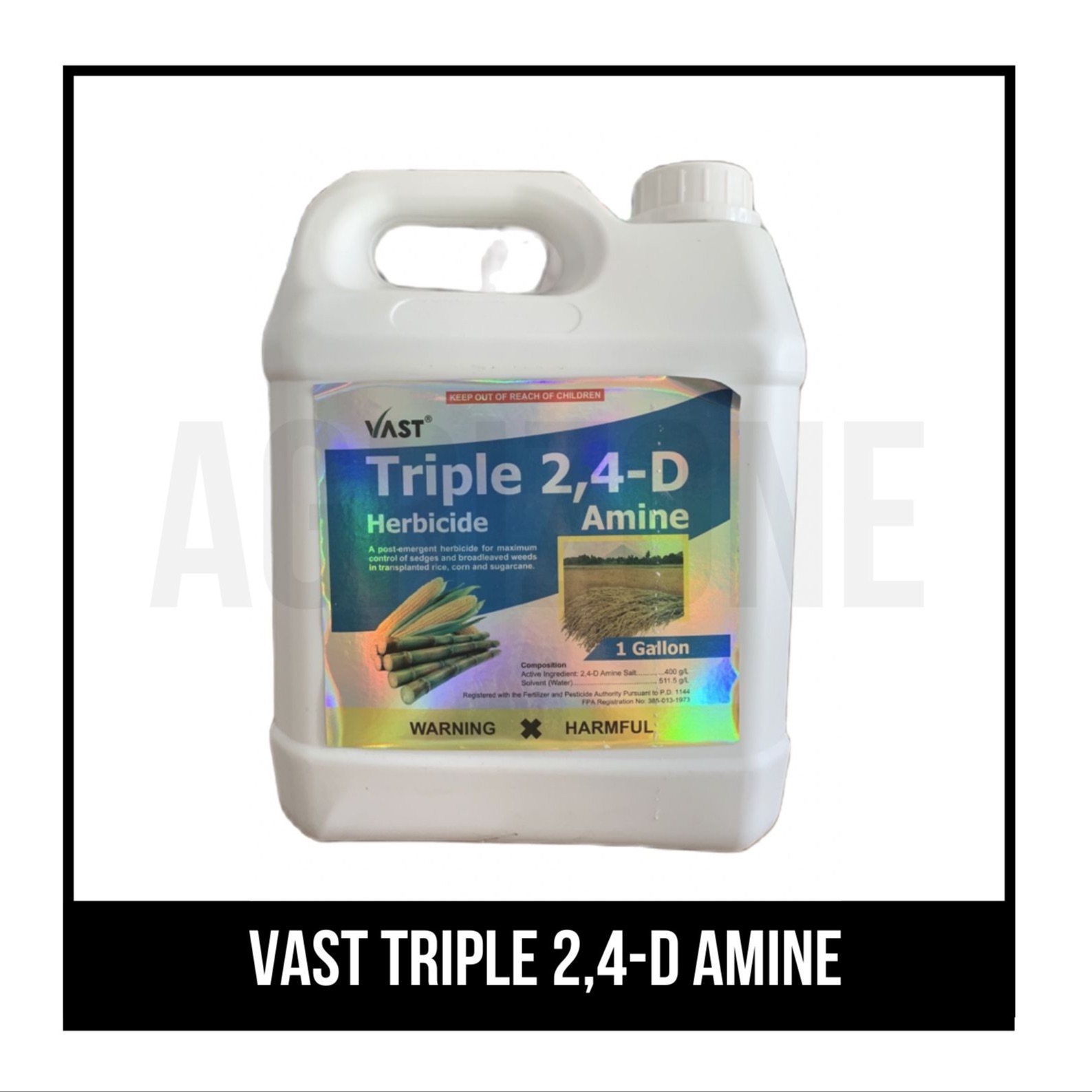 VAST Triple 2 4 D Amine Herbicide Gallon Lazada PH