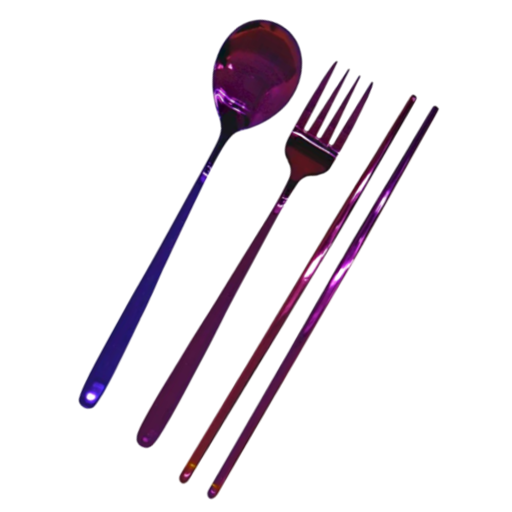 Roborobo Korean In Stainless Steel Set Chopsticks Spoon And Fork