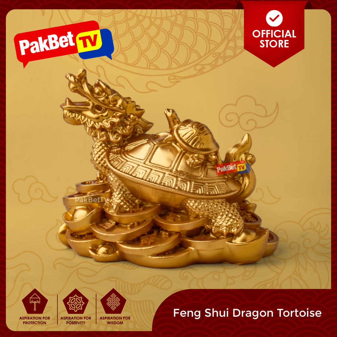 Feng Shui Dragon Tortoise Feng Shui By PakBet TV Lazada PH