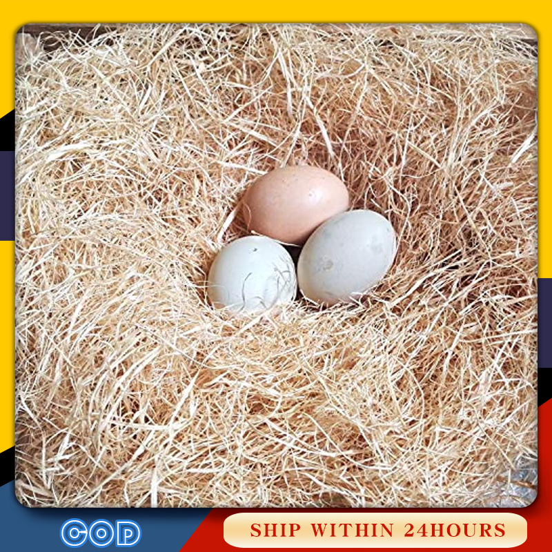 Nestbox Hay Jute Nesting Material For Birds Lovebirds For Chicken Nest