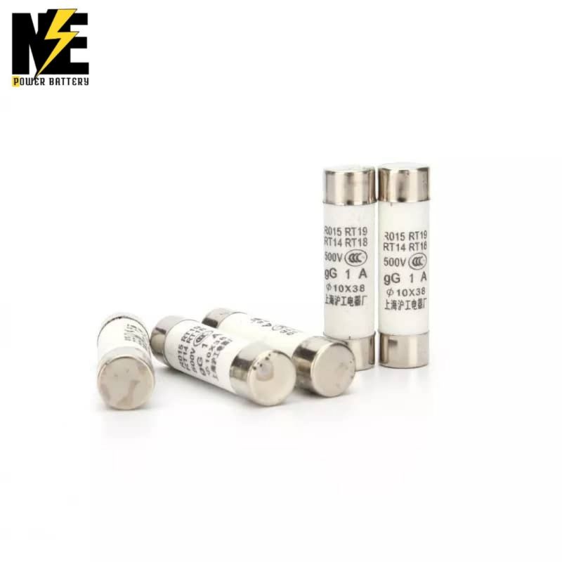 Ceramic Tube Fuses Fast Slow Fuse 250V R055 5x25mm Lazada PH