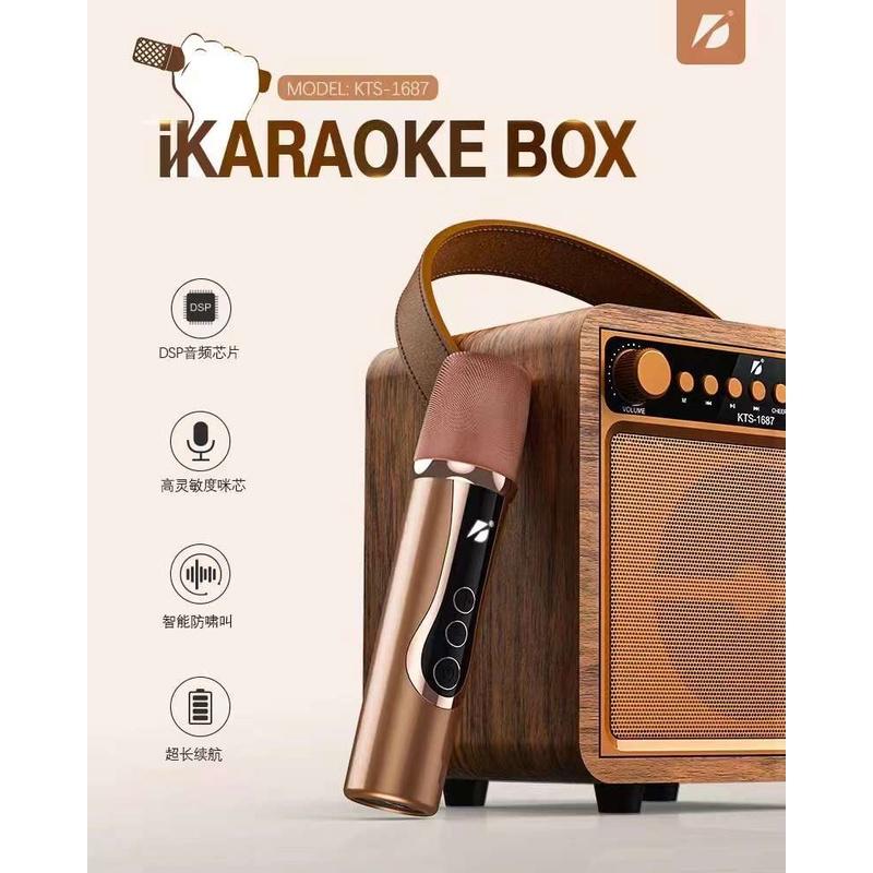 AIKAS KTS 1687 Bluetooth Karaoke Cassette With Handle And Free Wireless