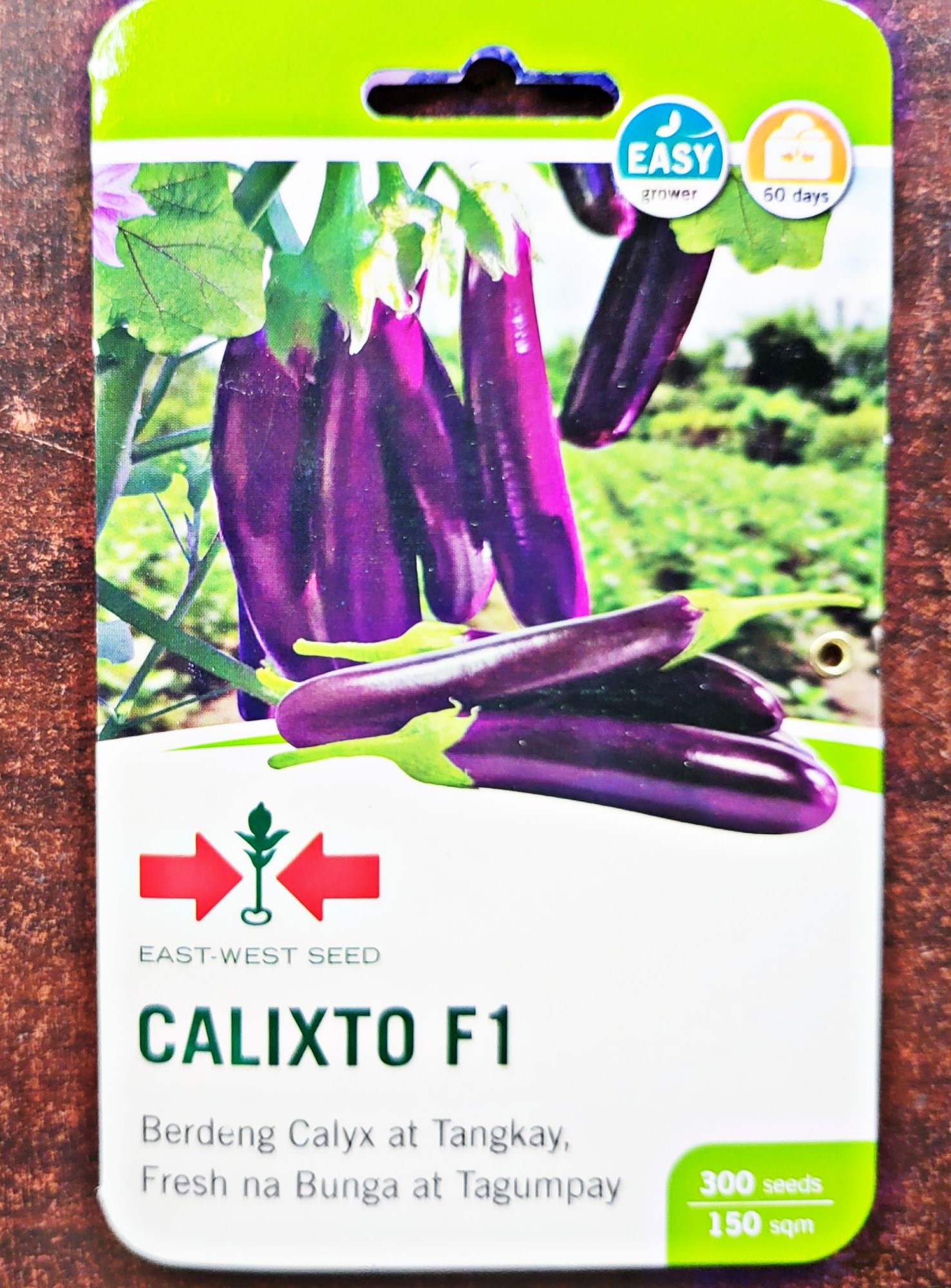 CALIXTO F1 HYBRID EGGPLANT SEEDS 300 SEEDS EAST WEST SEED Lazada PH