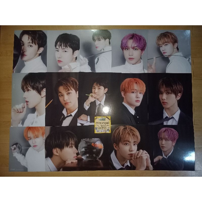 Best Nct Dream Wayv Season S Greetings Sg Tingi Outbox