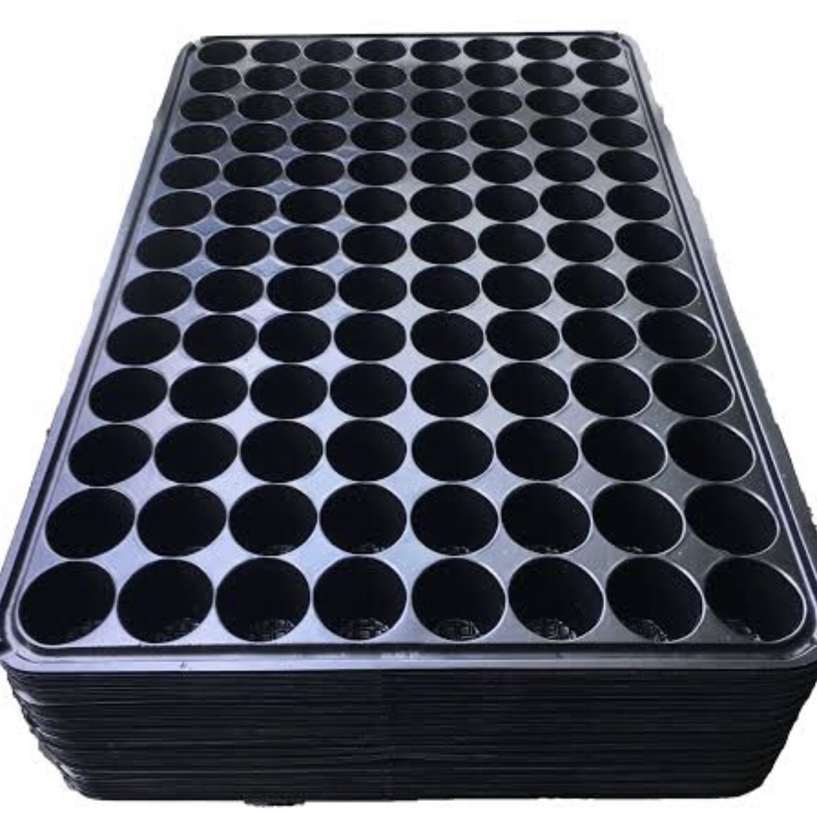 Seedling Tray Holes Pcs Lazada Ph