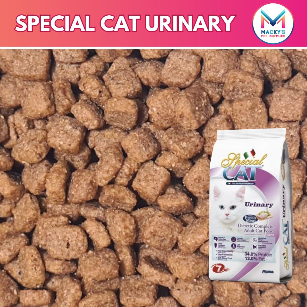 Special Cat Urinary Chicken Turkey Kilo G G Dry Cat