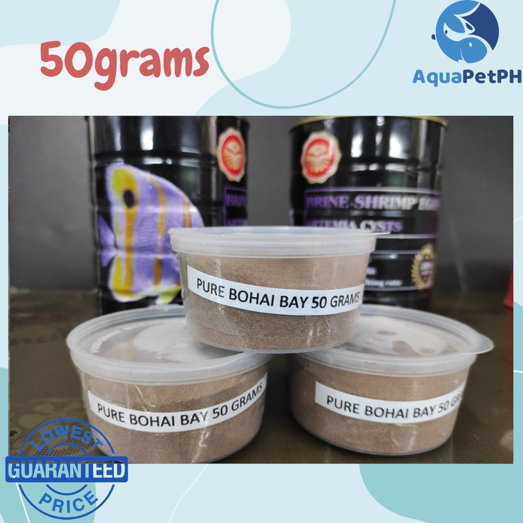 Baby Brine Shrimp Eggs BBS 100 Artemia Pure Bohai Bay Lazada PH