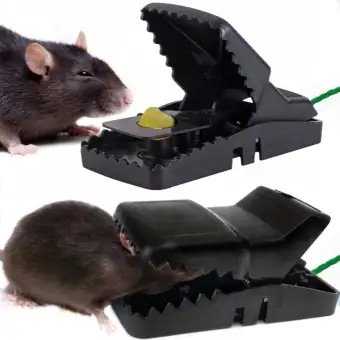 buy mouse trap online