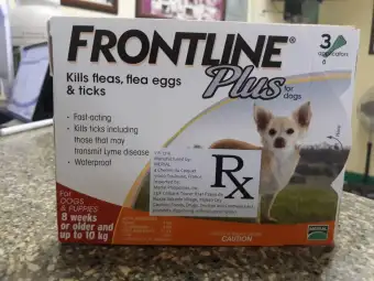 frontline for chihuahuas