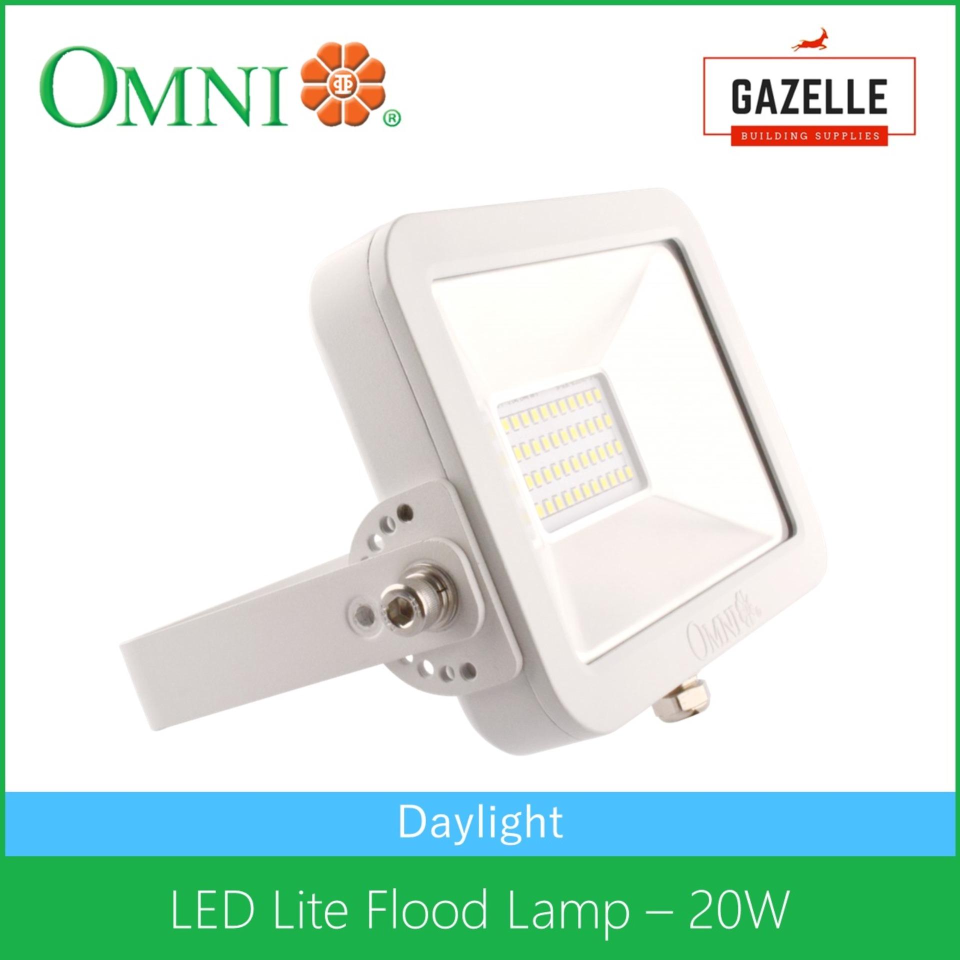 ledlite floodlight