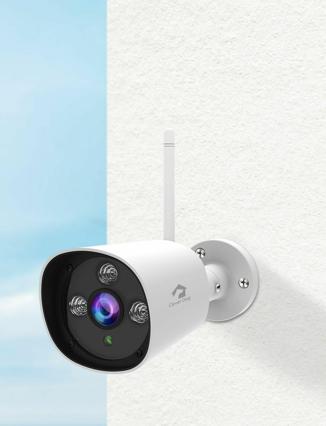 outdoor clever dog camera