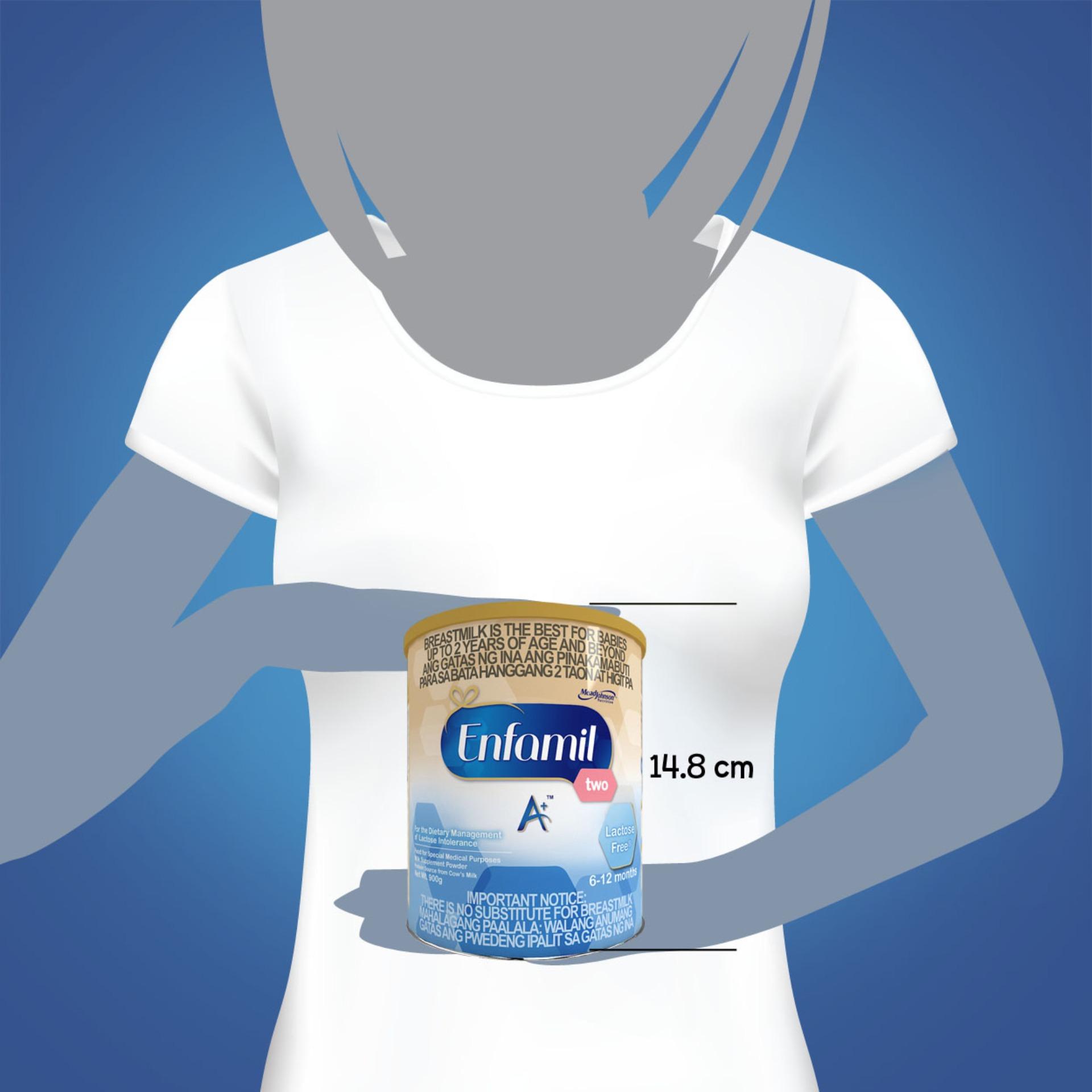 Enfamil A Two Lactose Free For 6 12 Months 900g Lazada Ph
