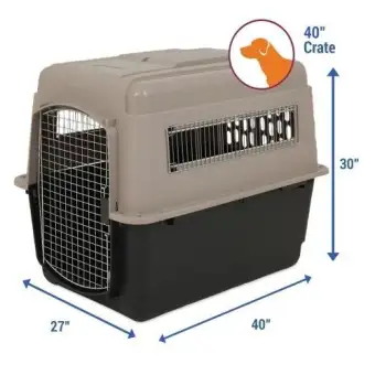 40 in dog crate