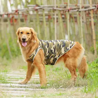 Pakaian Anjing Pakaian Musim Panas Model Tipis Anjing Besar Bulu