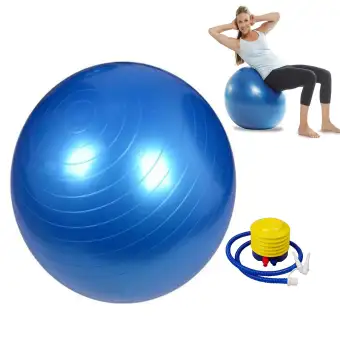 Eiderfinch Fitness Ball Exercise (Blue 