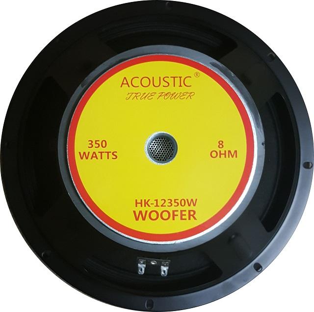 speaker acoustic 12 inch