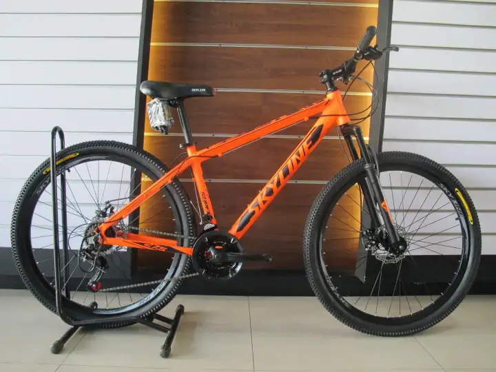 skyline mountain bike price