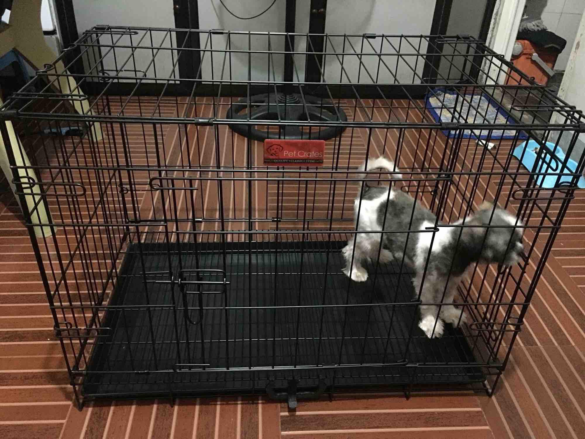 PET CRATES DOG CAGE: Buy sell online 