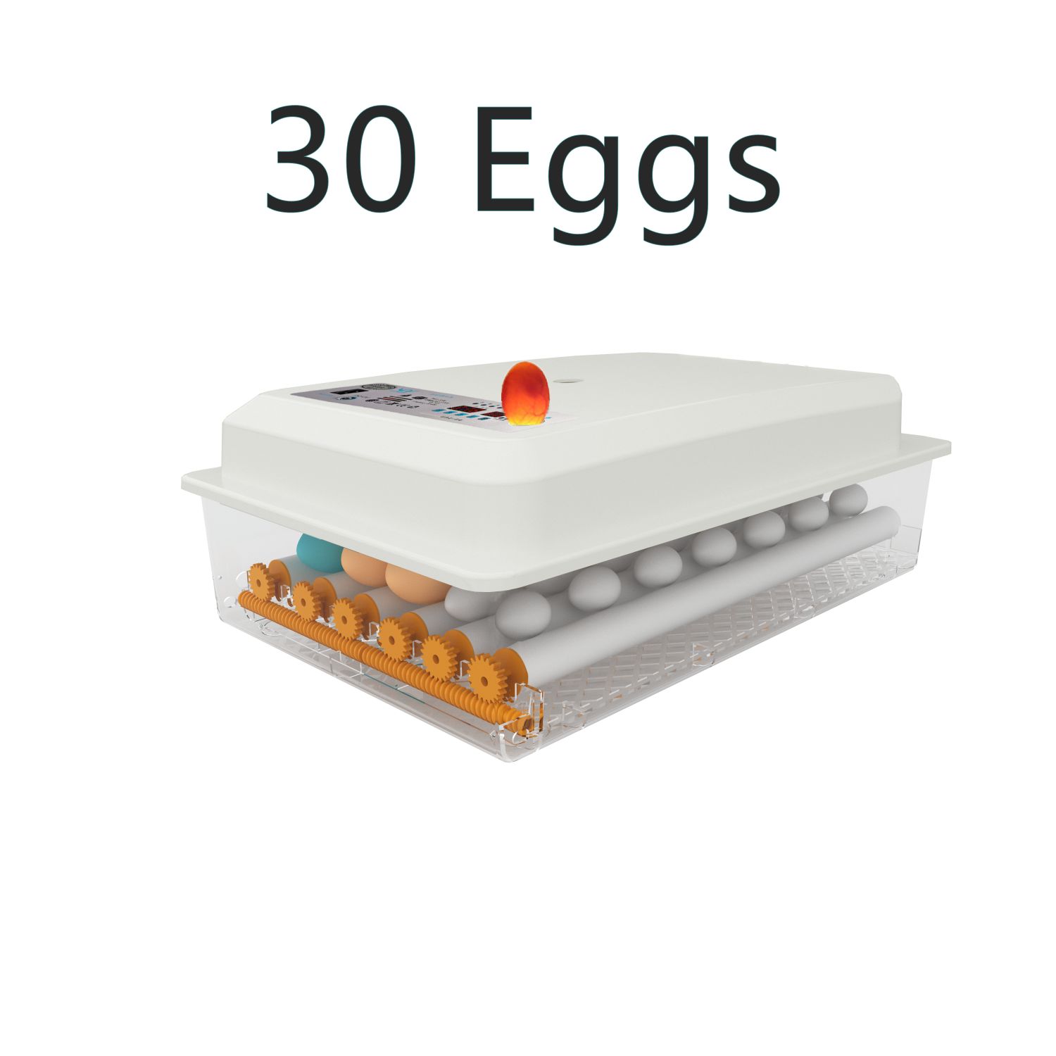 30/36 Eggs Incubator Digital Fully Automatic Thermostat Egg Hatching