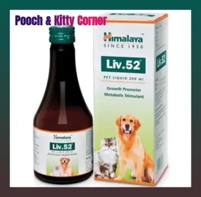 Himalaya Liv 52 for Dogs and Cats (200mL) w/ FREE 3mL Syringe