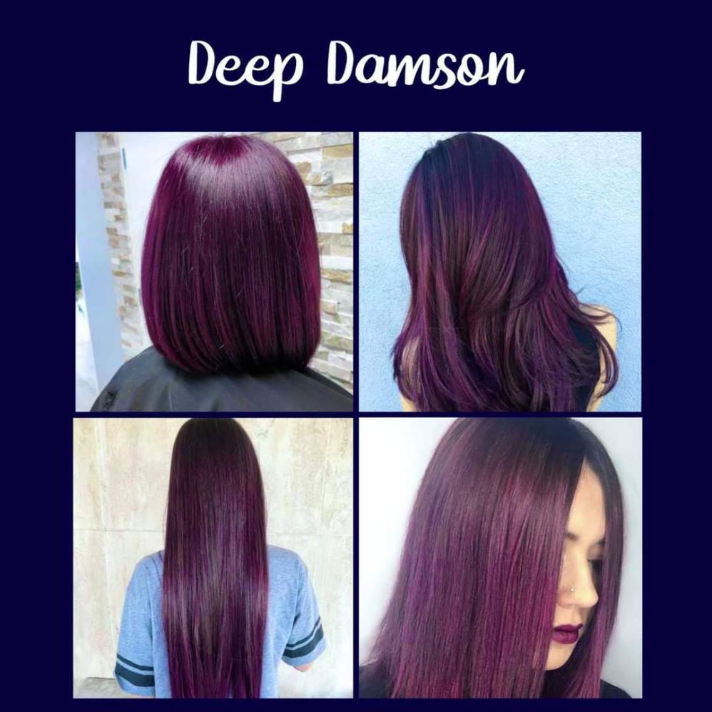 Sunbright Hair Color in Deep Damson by Pimp my Hair PH | Lazada PH