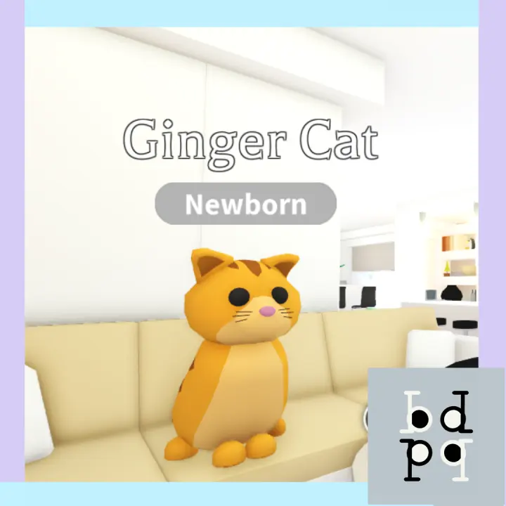 roblox adopt me ginger cat