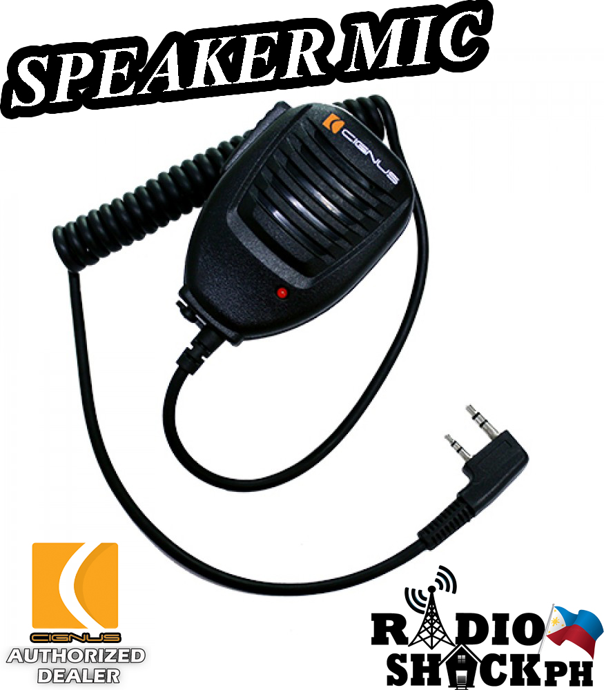 mic to speaker online