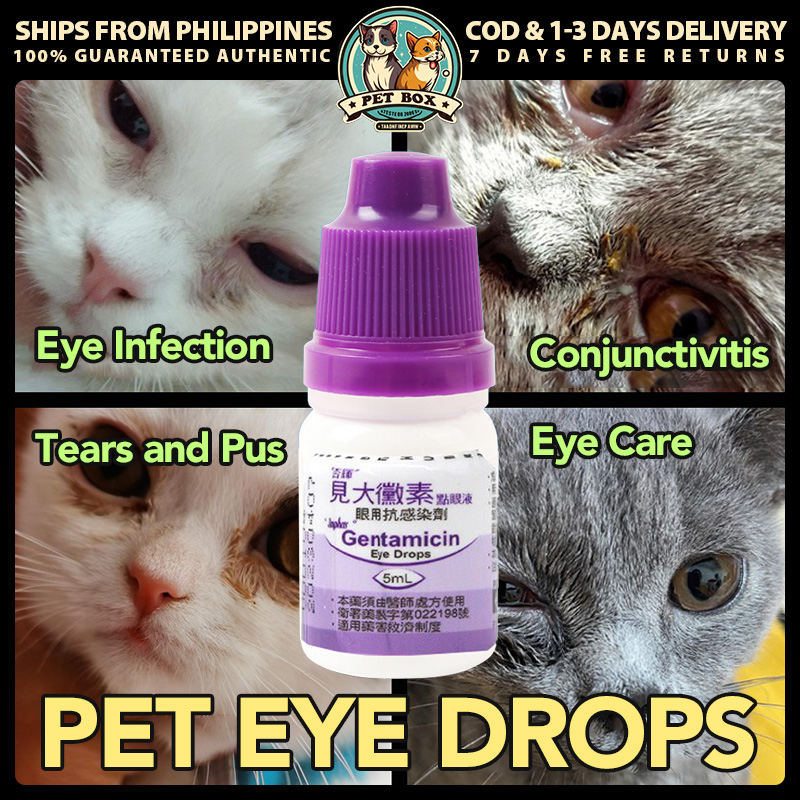 [Philippines Stock] Gentamicin Eye Drops for Pet Cat Dogs Eye Care ...