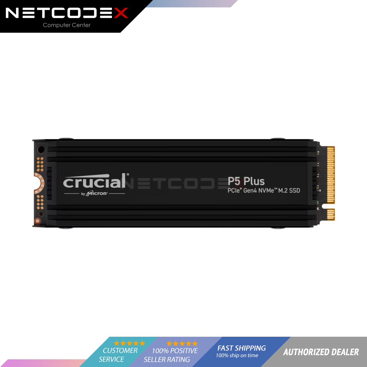 Crucial P5 Plus High Performance Ssd Crucial P5 TB NVMe SSD Review 