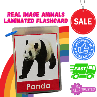 Animals Flashcard (Laminated) | Flashcards for kids | Flashcards animals |  Animated | Real Image | Laminated 125mic Film | Pang bata | Toddler | Kids  | Kinder | Home school | Reusable | Water proof | Ring bind | School Set |  Lazada PH