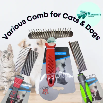 Assorted Comb for Cats and Dogs