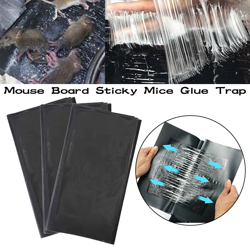 Computer Mouse Sticky Mouse Board Sticky Mice Glue Trap High Effective | Lazada PH