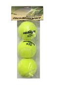 ASD Tennis Ball in Plastic