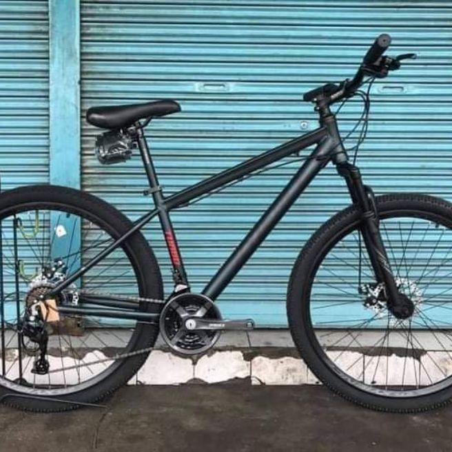 Xyience mountain 2025 bike price