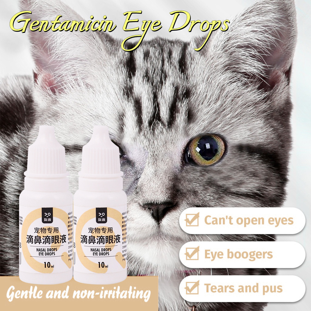 Buck Pet 10ML Gentamicin Sulfate Eye Drops for Infection for Dogs and