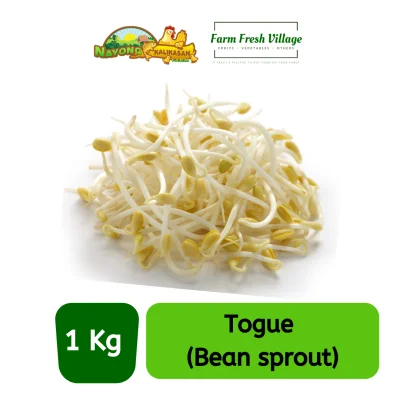 FARM FRESH VILLAGE - Togue 1 kilogram